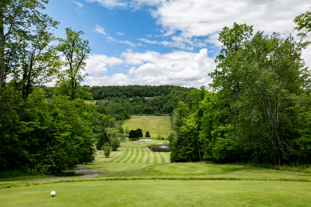 Hole 2 - Tyoga Golf